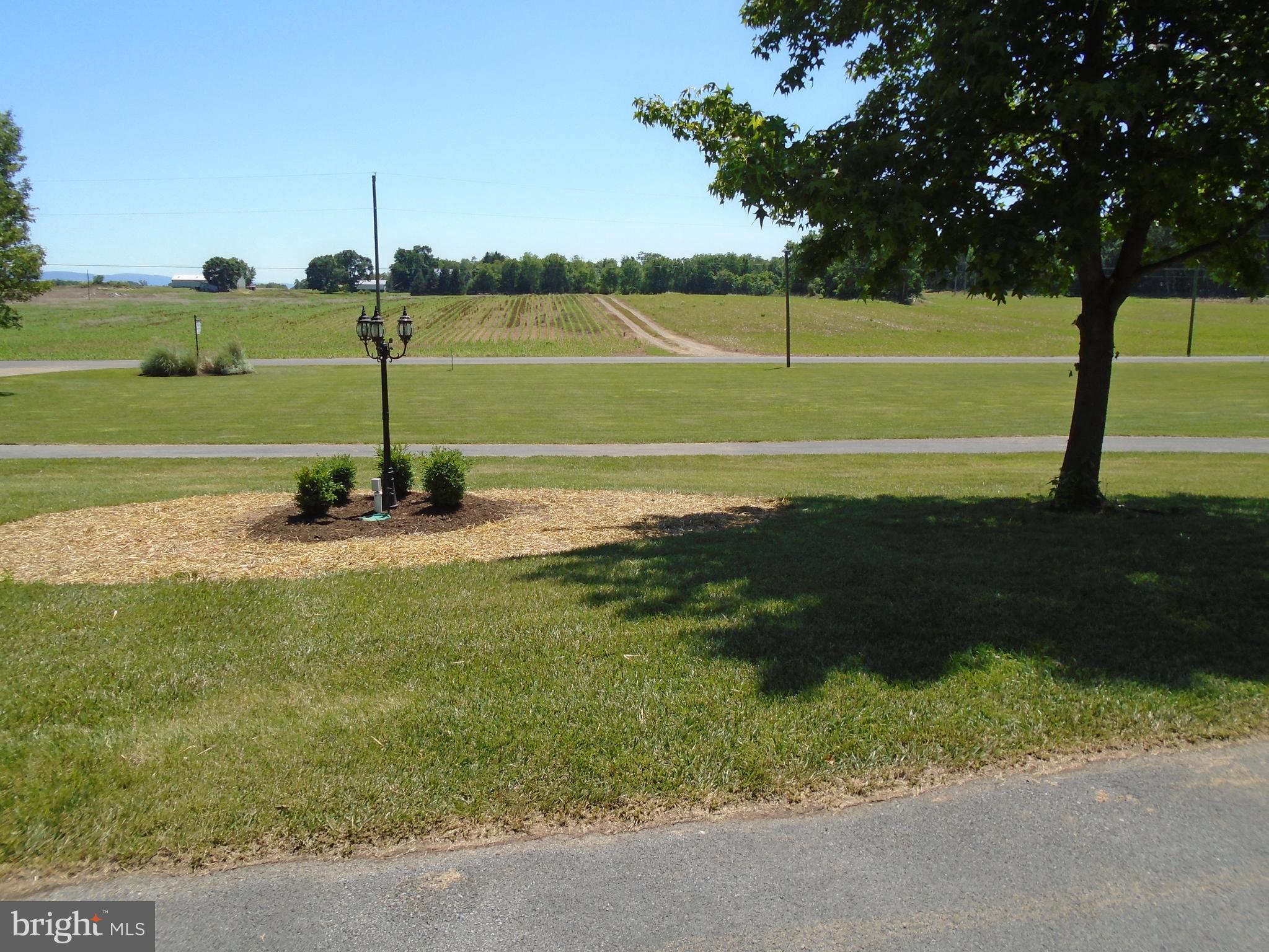 241 French Road Shenandoah Junction, WV 25442 - Photo 4 of 35 Farmland scene from front porch