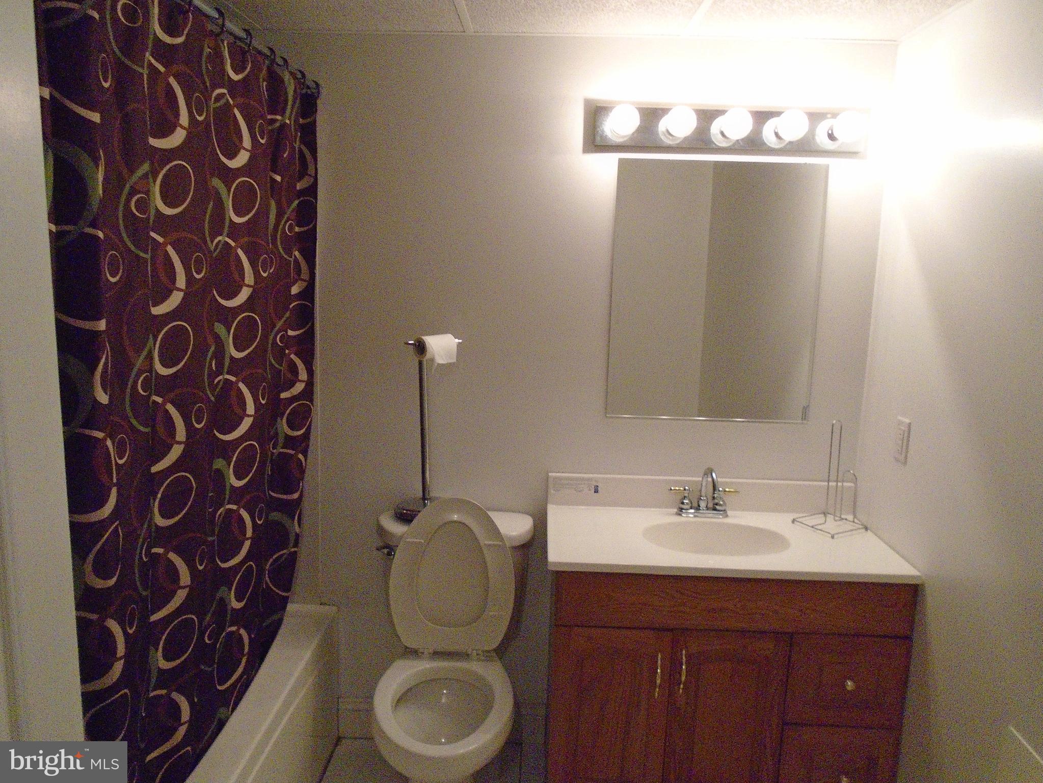 241 French Road Shenandoah Junction, WV 25442 - Photo 34 of 35 Bsement Full Bath