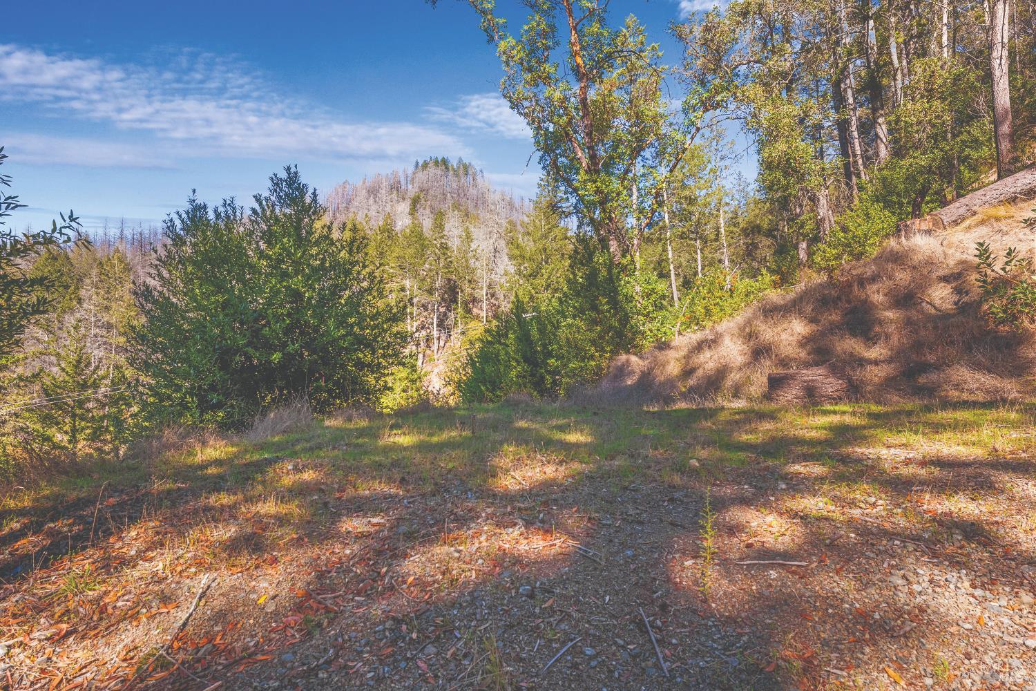 6581 St Helena Road Santa Rosa, CA 95404 - Photo 3 of 33 Gallery Image 3