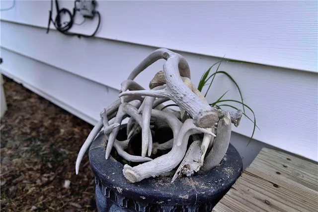 $300,000 | 510 Northwest 100th Street, Spickard, MO 64679