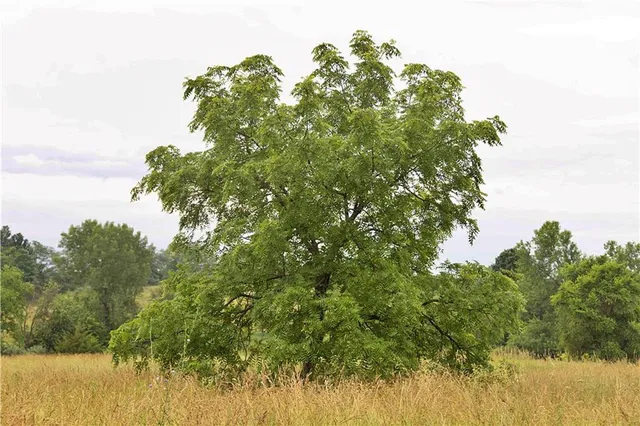 $300,000 | 510 Northwest 100th Street, Spickard, MO 64679