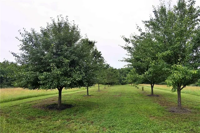 $300,000 | 510 Northwest 100th Street, Spickard, MO 64679