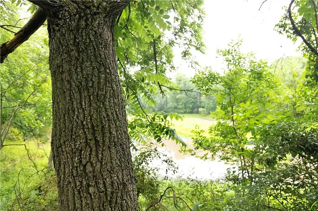 $300,000 | 510 Northwest 100th Street, Spickard, MO 64679