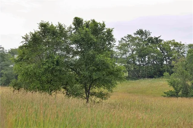 $300,000 | 510 Northwest 100th Street, Spickard, MO 64679