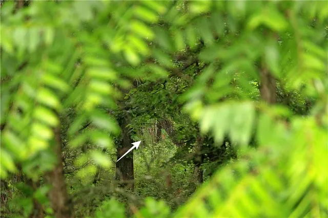 $300,000 | 510 Northwest 100th Street, Spickard, MO 64679