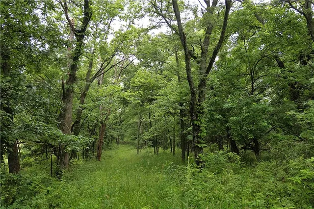 $300,000 | 510 Northwest 100th Street, Spickard, MO 64679