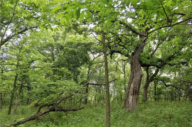 $300,000 | 510 Northwest 100th Street, Spickard, MO 64679