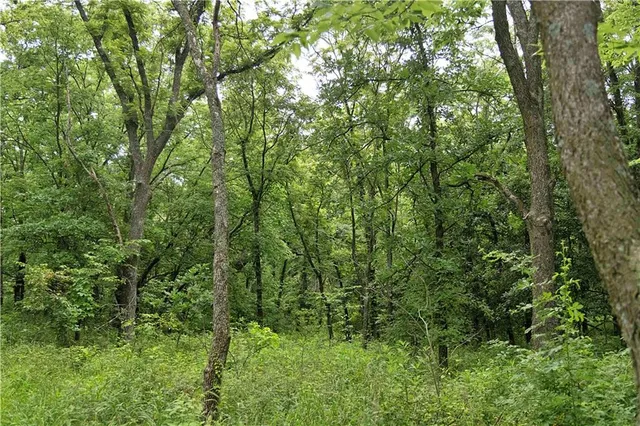 $300,000 | 510 Northwest 100th Street, Spickard, MO 64679