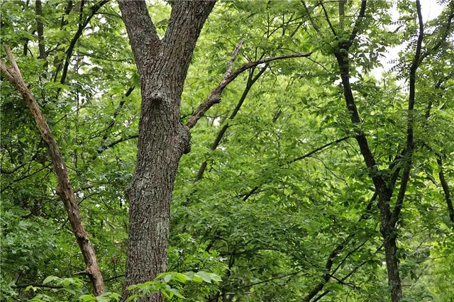 $300,000 | 510 Northwest 100th Street, Spickard, MO 64679