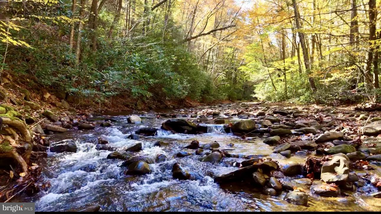 2453 Channel Rd Mill Creek Huttonsville, WV 26273 - Photo 14 of 26