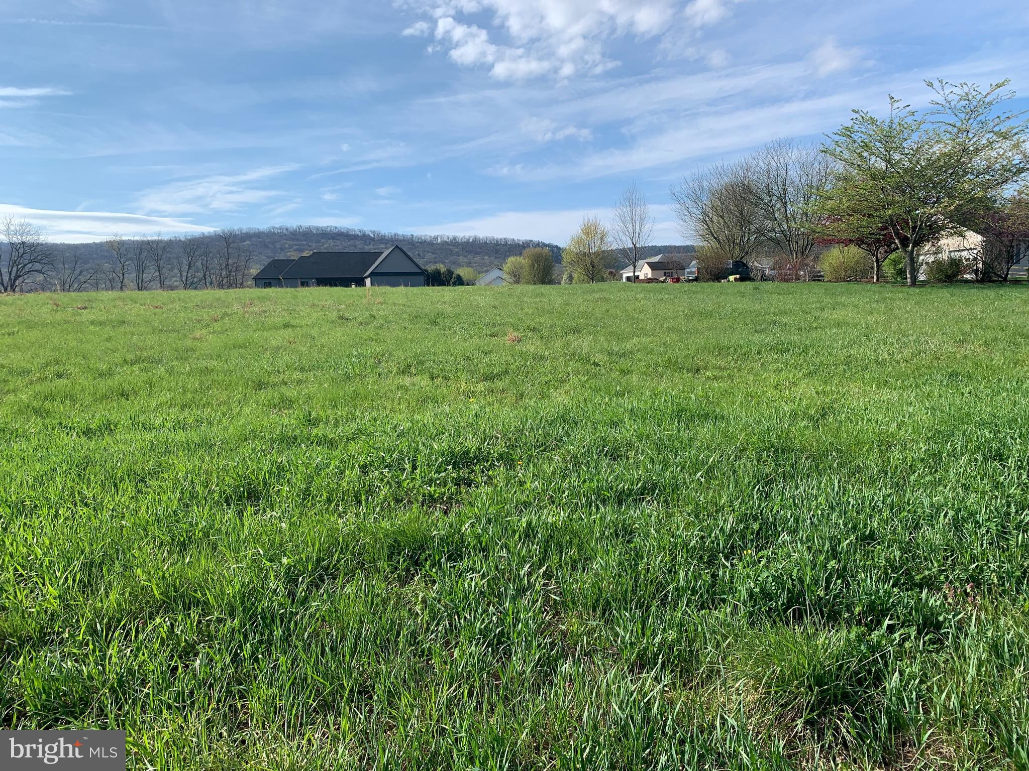 Lot #11 Pine Hill Road Carlisle, PA 17013 - Photo 1 of 7 a view of a big yard with plants and large trees