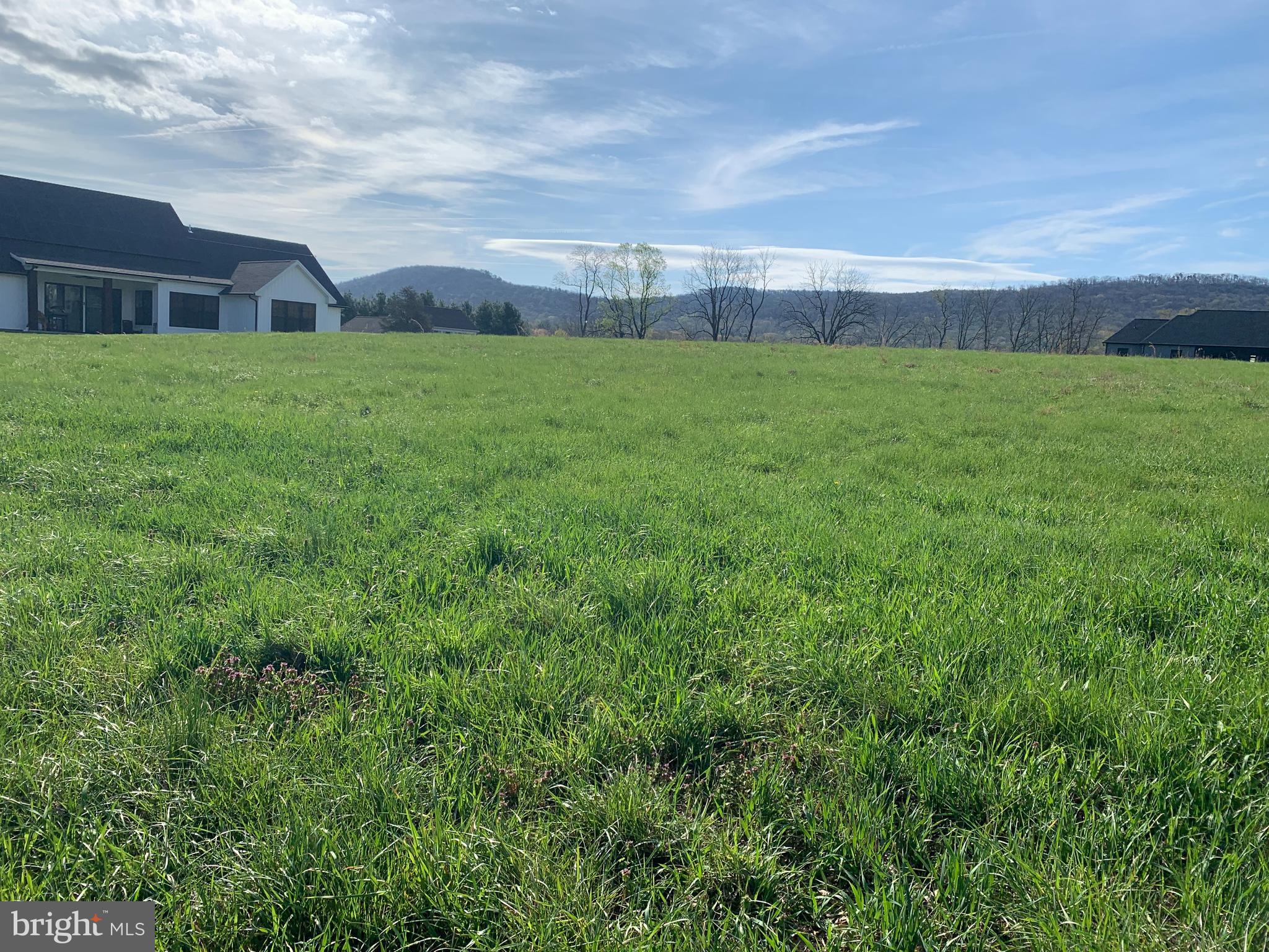 Lot #11 Pine Hill Road Carlisle, PA 17013 - Photo 3 of 7 a view of a big yard with plants and large trees