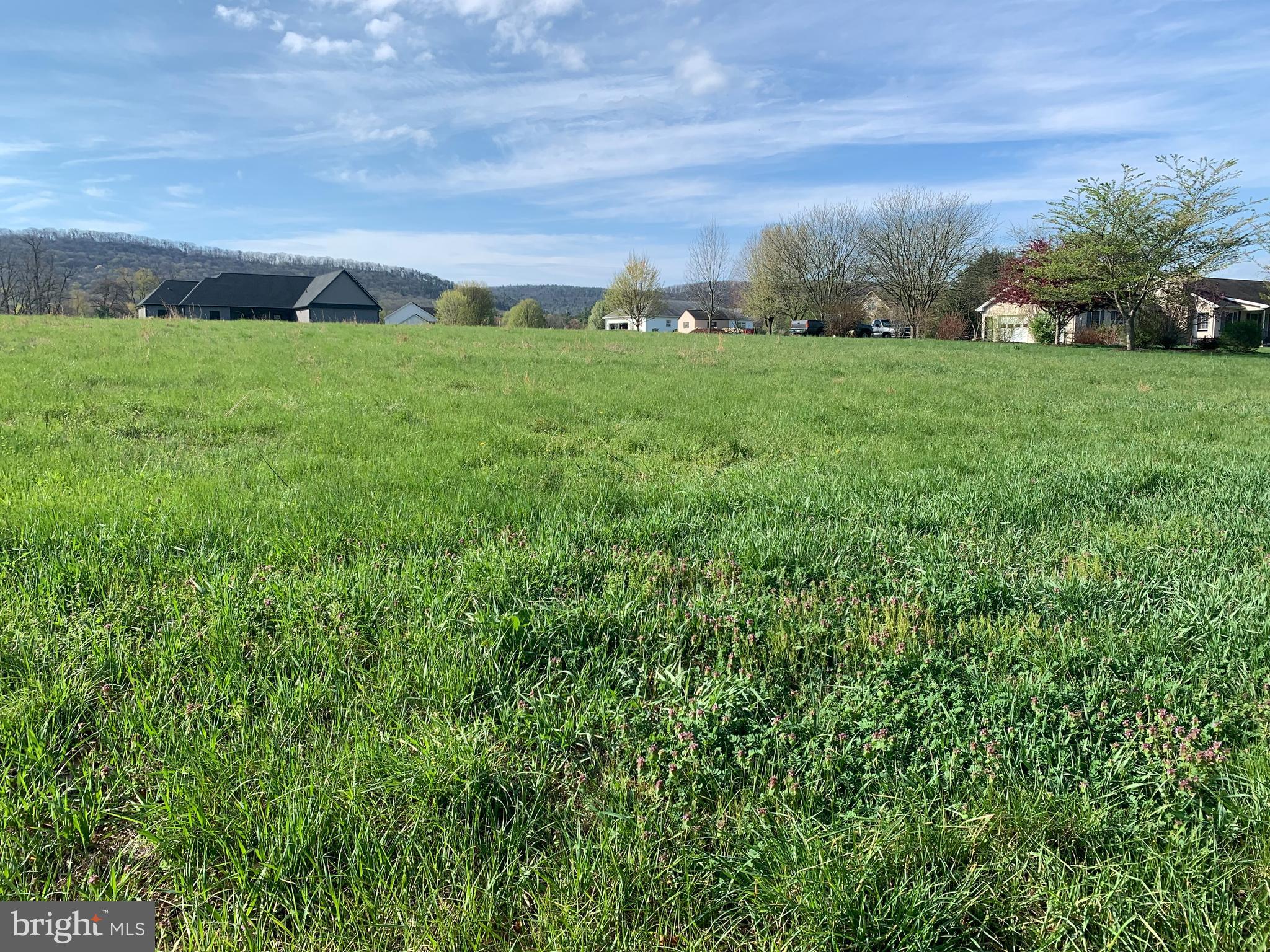 Lot #11 Pine Hill Road Carlisle, PA 17013 - Photo 6 of 7 a view of a big yard with plants and large trees