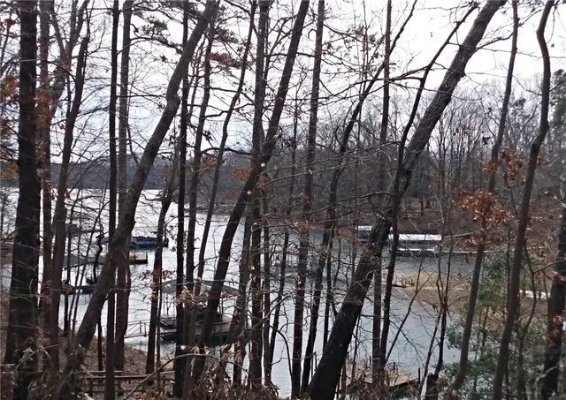 $165,000 | 126 Friendship Pointe Drive, Unit POINTE, Seneca, SC 29678