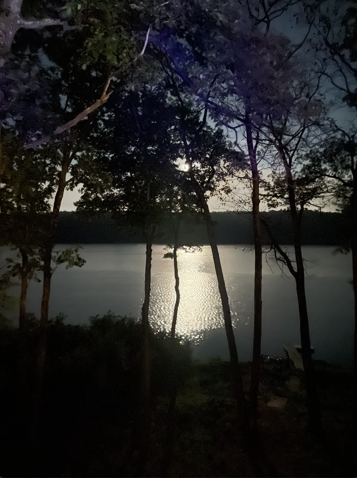 656 North Hickory Ridge Trail Exeland, WI 54835 - Photo 3 of 36