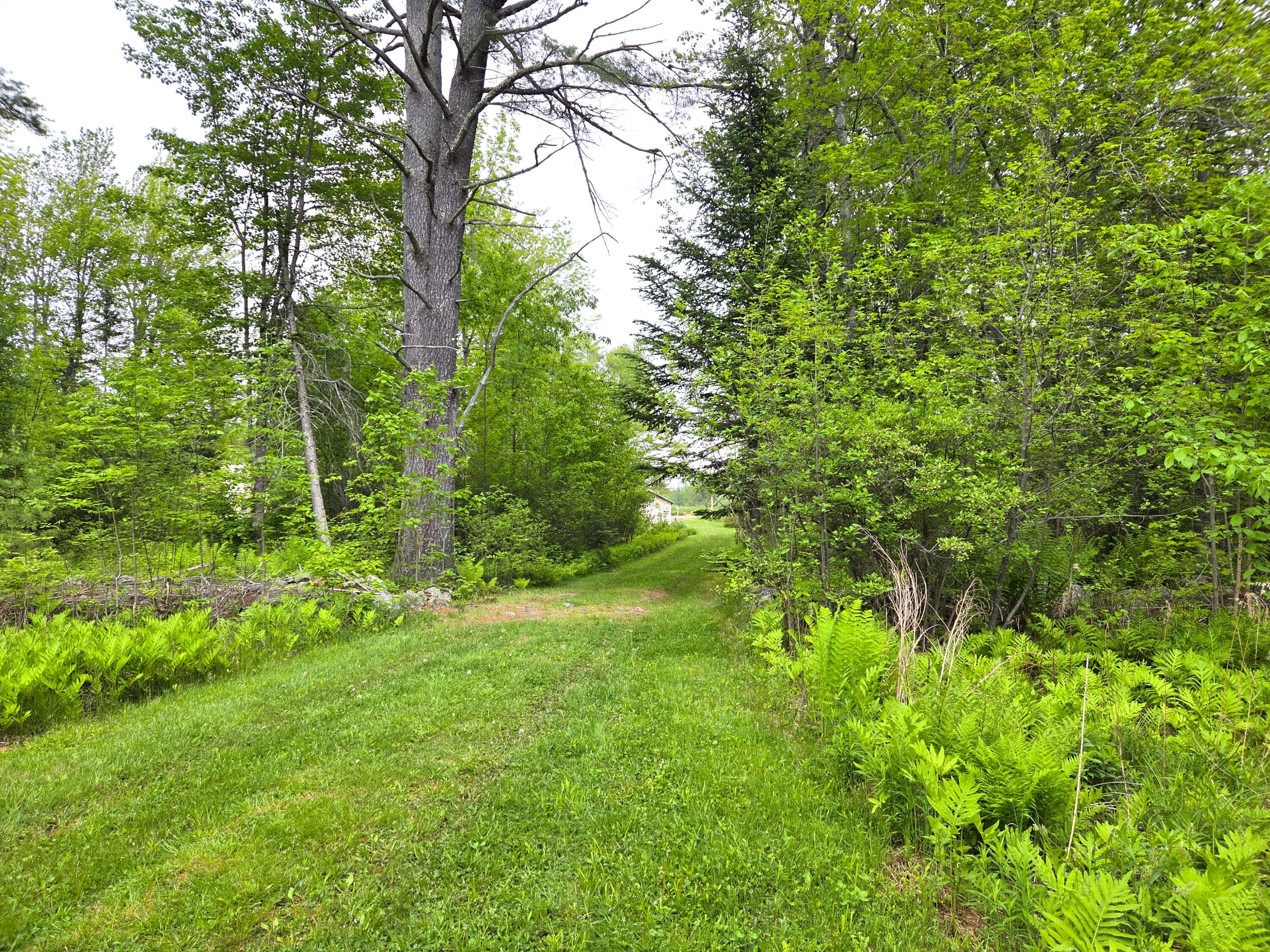 1462 Waterville Road Waldo, ME 04915 - Photo 21 of 70 20260528_095048