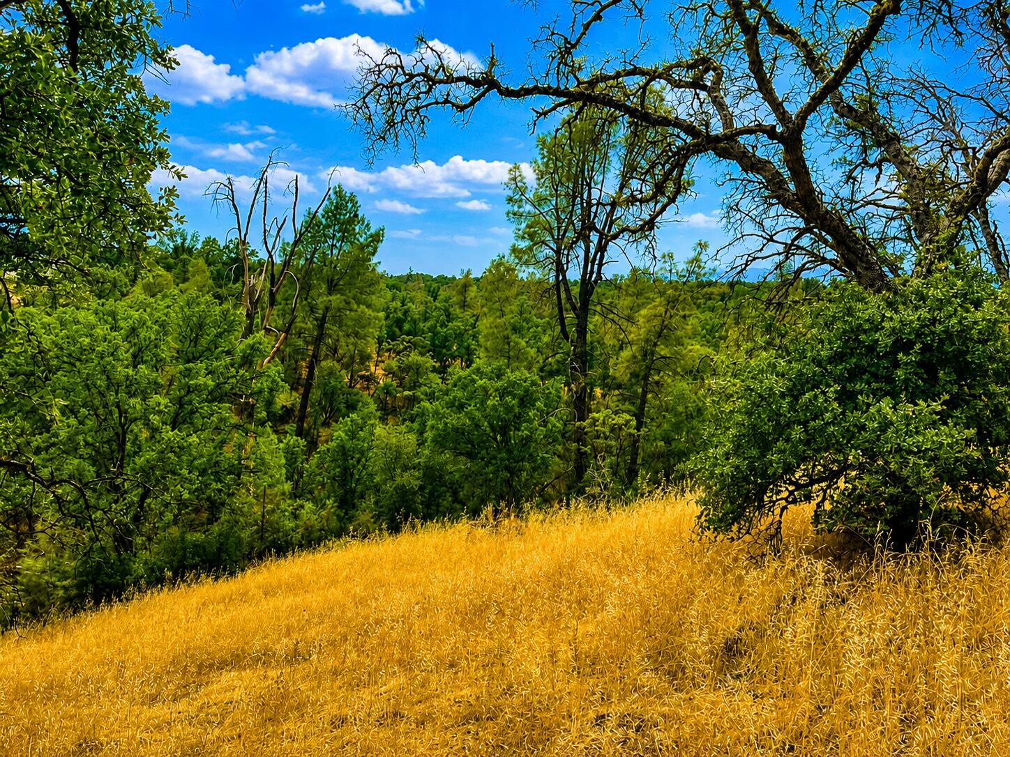 17275 Quail Ridge Road Cottonwood, CA 96022 - Photo 5 of 7 image_123650291 (5)