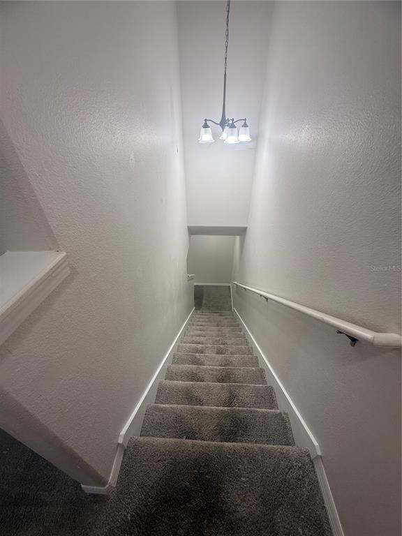 9749 Trumpet Vine Loop Trinity, FL 34655 - Photo 14 of 24