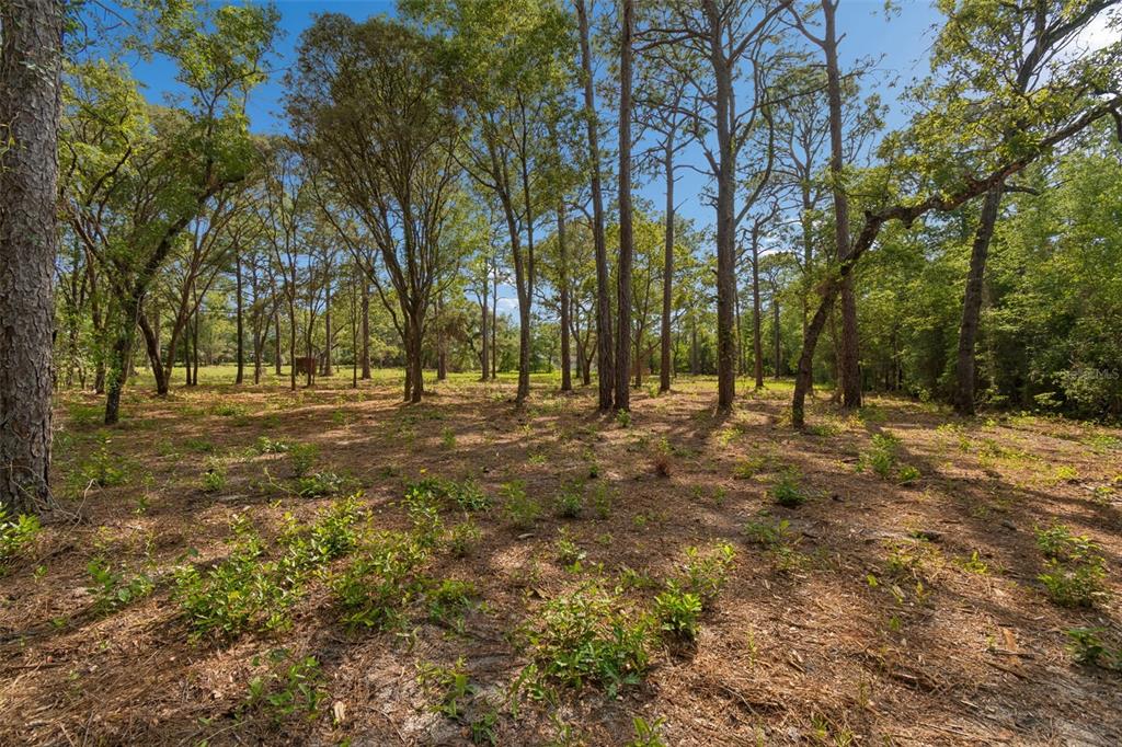 Grove Road Brooksville, FL 34613 - Photo 9 of 26