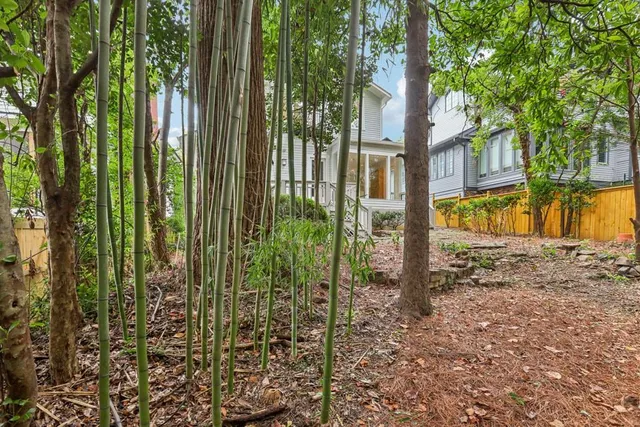 a view of a garden with a tree