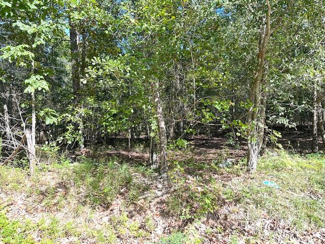 B Acorn Lane Santee, SC 29142 - Photo 2 of 9 Acorn Ln, 1