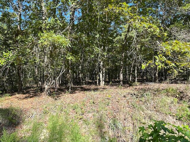 B Acorn Lane Santee, SC 29142 - Photo 5 of 9 Acorn Ln, 4