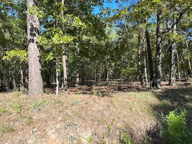 B Acorn Lane Santee, SC 29142 - Photo 6 of 9 Acorn Ln, 5