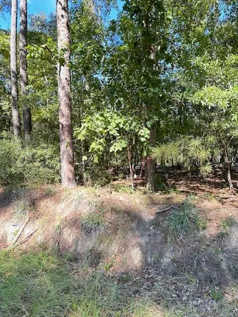 $49,000 | B Acorn Lane, Santee, SC 29142