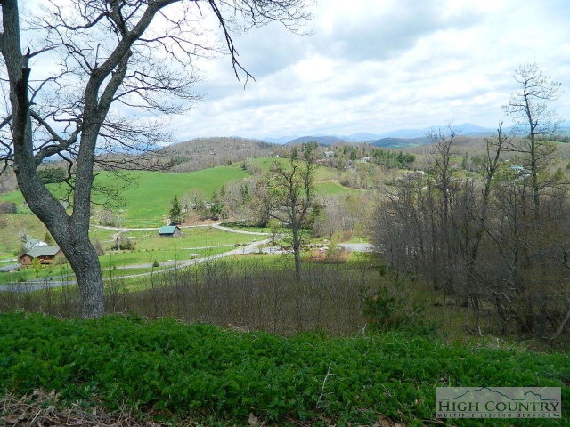 Lot 13 Wapiti Way Boone, NC 28607 - Photo 4 of 4 Gallery Image 4