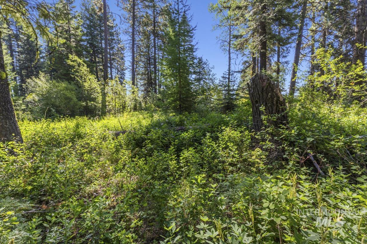 2 Arling Trail Cascade, ID 83611 - Photo 5 of 15 Gentle Slope Lot