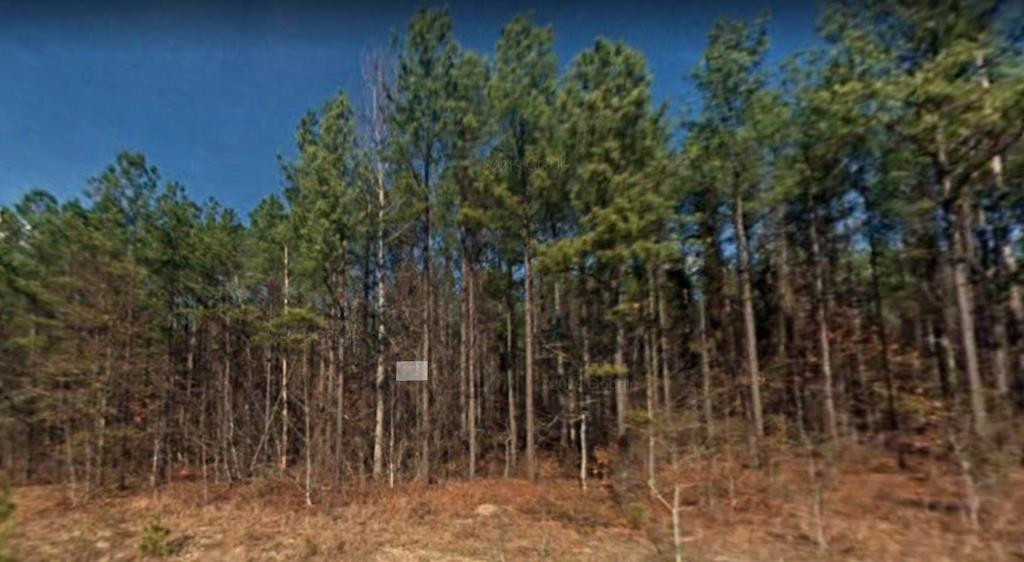 10 Horseshoe Bend Road Aiken, SC 29801 - Photo 1 of 1