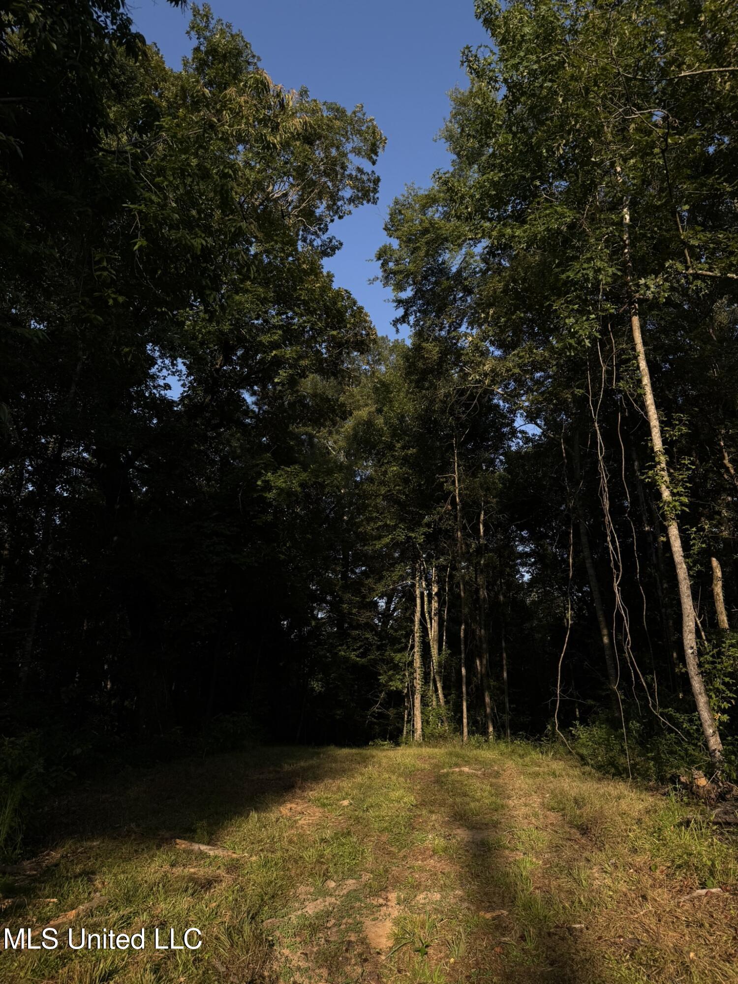 Sumrall Road Crystal Springs, MS 39059 - Photo 11 of 11 IMG_9520