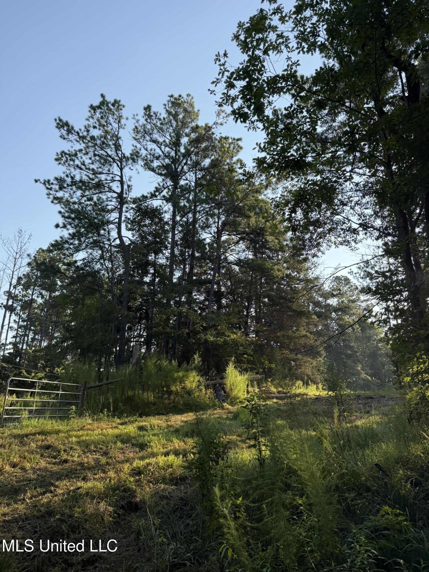 Sumrall Road Crystal Springs, MS 39059 - Photo 10 of 11 IMG_9516