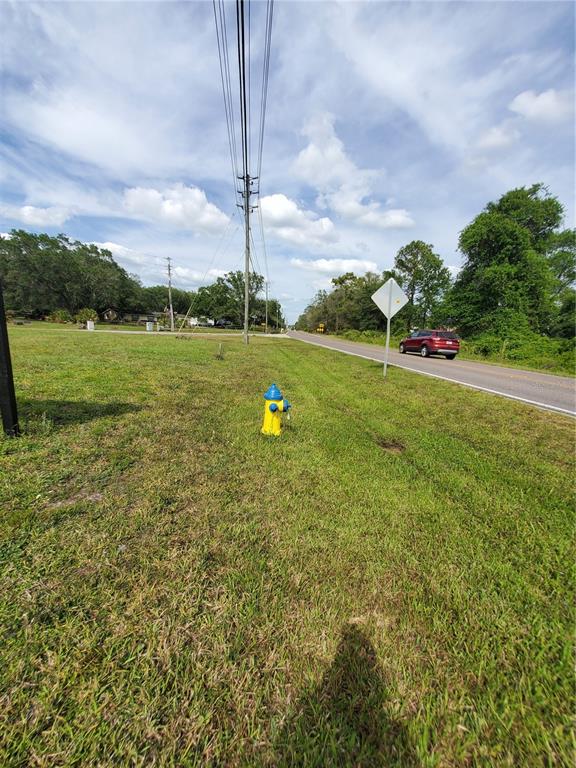 0 Old Pasco Road Wesley Chapel, FL 33544 - Photo 1 of 1 a lake view with a big yard and palm trees