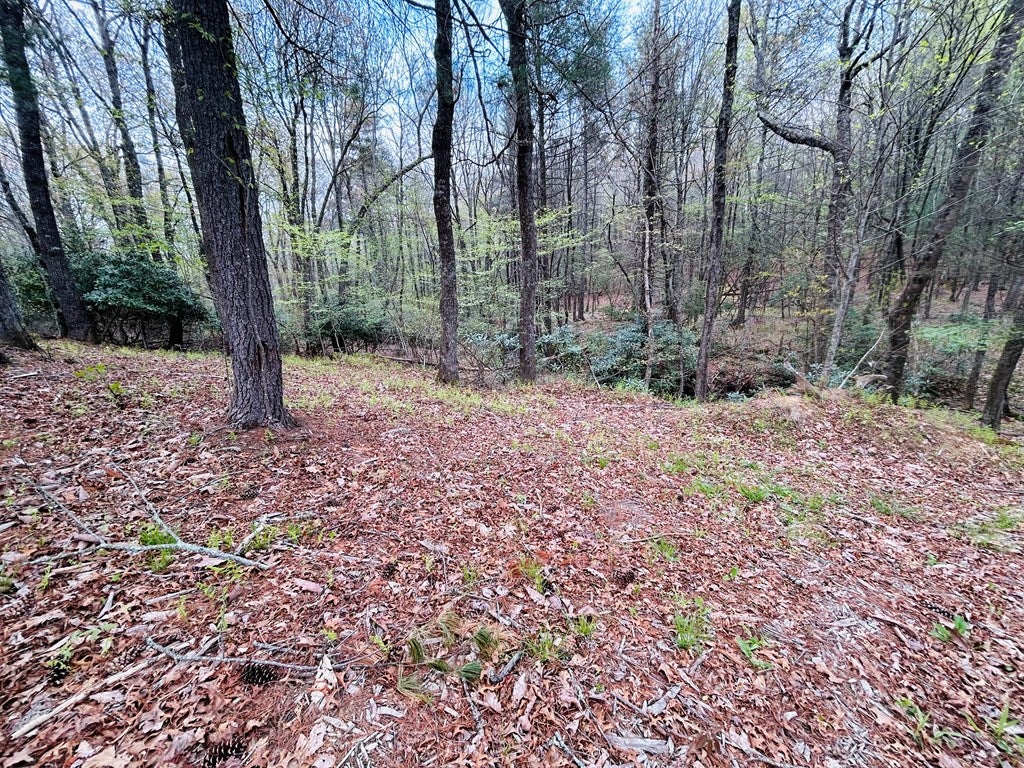 174 Round Hill Road, Unit 4 Fancy Gap, VA 24328 - Photo 6 of 18 Gallery Image 6