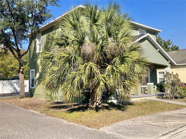 a view of a street with plants and trees