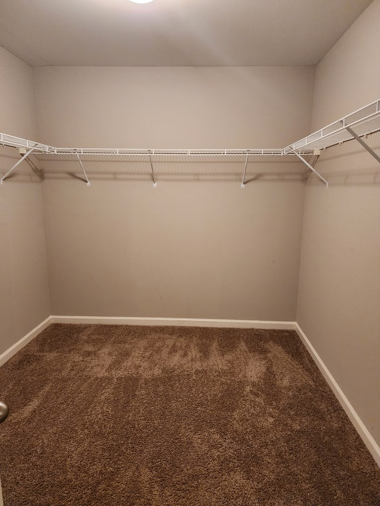4924 Brightstar Lane Columbus, GA 31907 - Photo 19 of 21 a view of an empty walk in closet