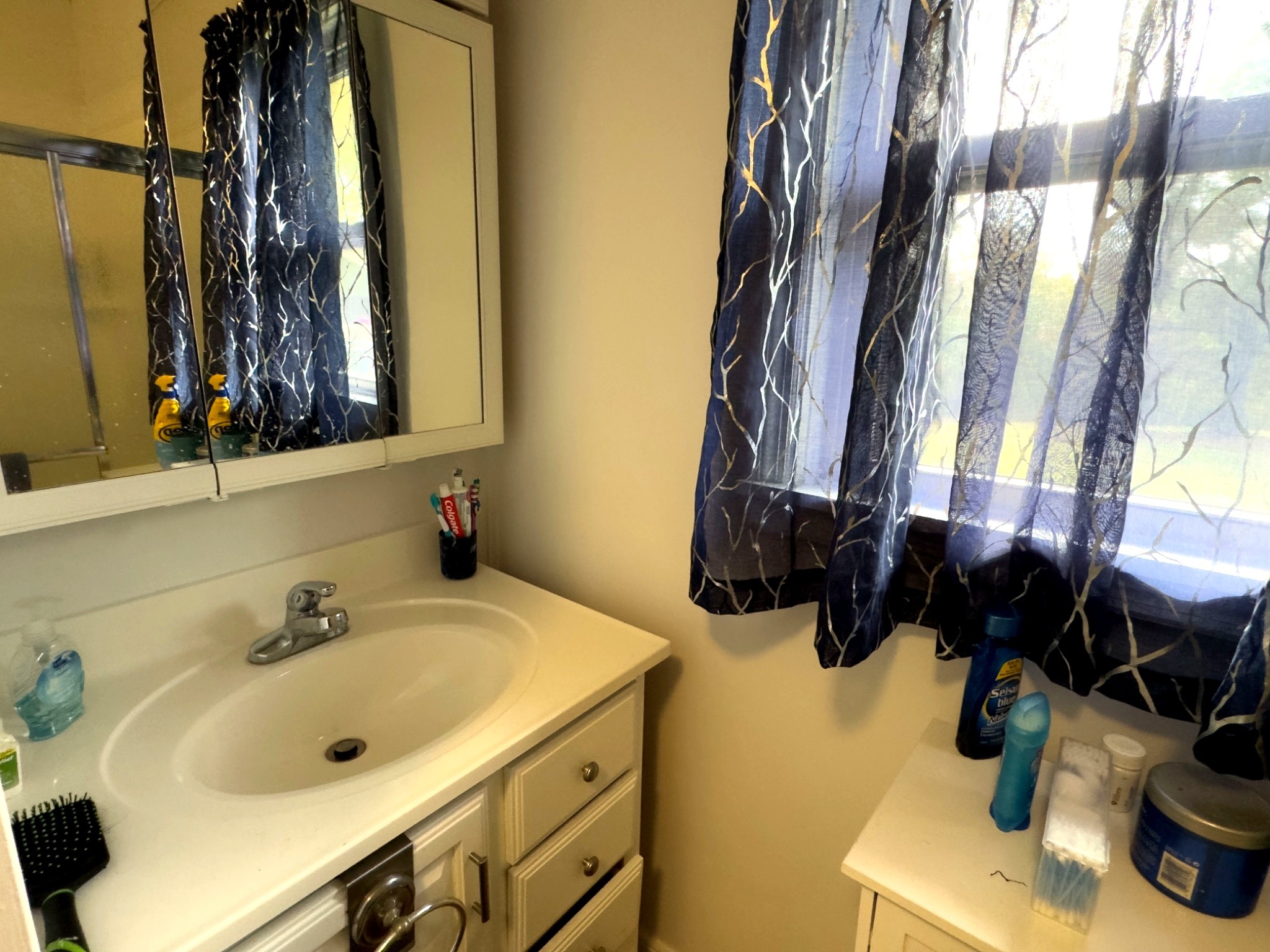 1344 Railroad Bed Road Collinwood, TN 38450 - Photo 17 of 40 a bathroom with a sink and a mirror