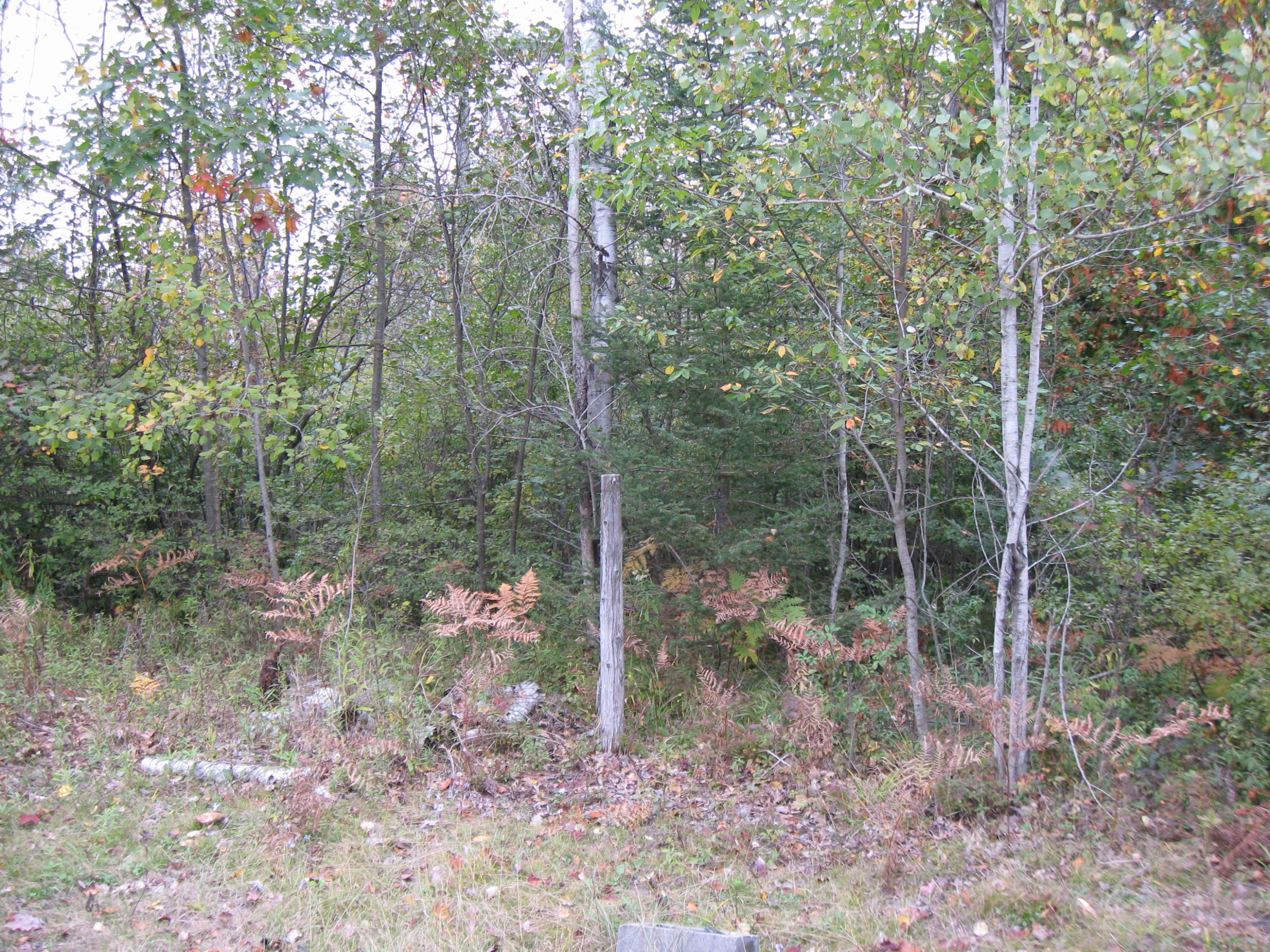 218 Sitting Bull Road Alpena, MI 49707 - Photo 15 of 15 Gallery Image 15