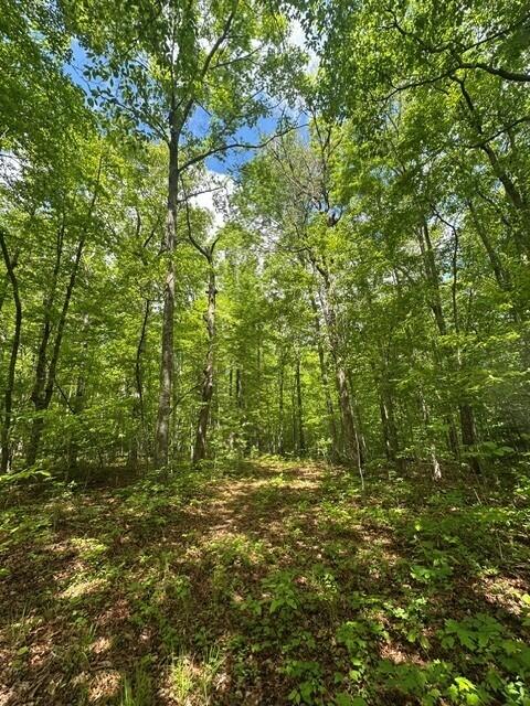 142 Cole Road Deer Lodge, TN 37726 - Photo 29 of 77 31