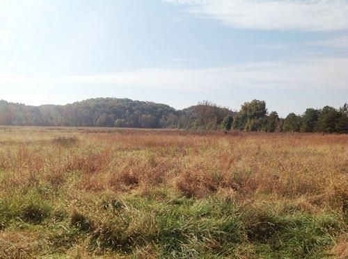 80 Government Farm Road Rockmart, GA 30153 - Photo 1 of 1 a view of lake and mountain view