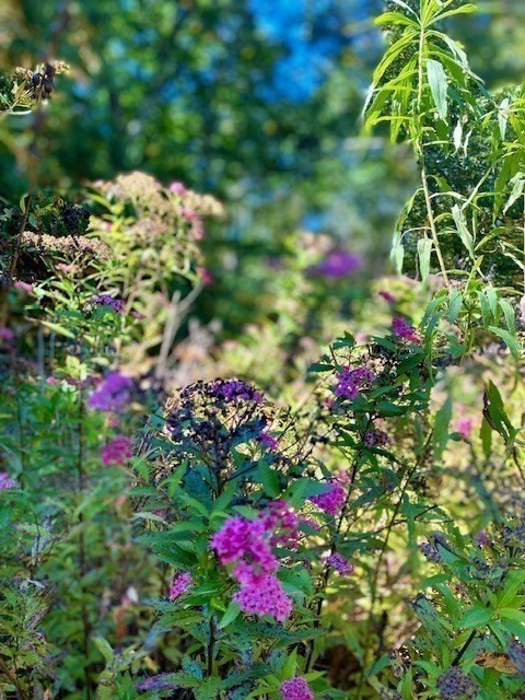 148 Ragged Hill Road Hubbardston, MA 01452 - Photo 24 of 37 Gallery Image 24