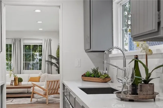 a living room with furniture flowerpot and a potted plant