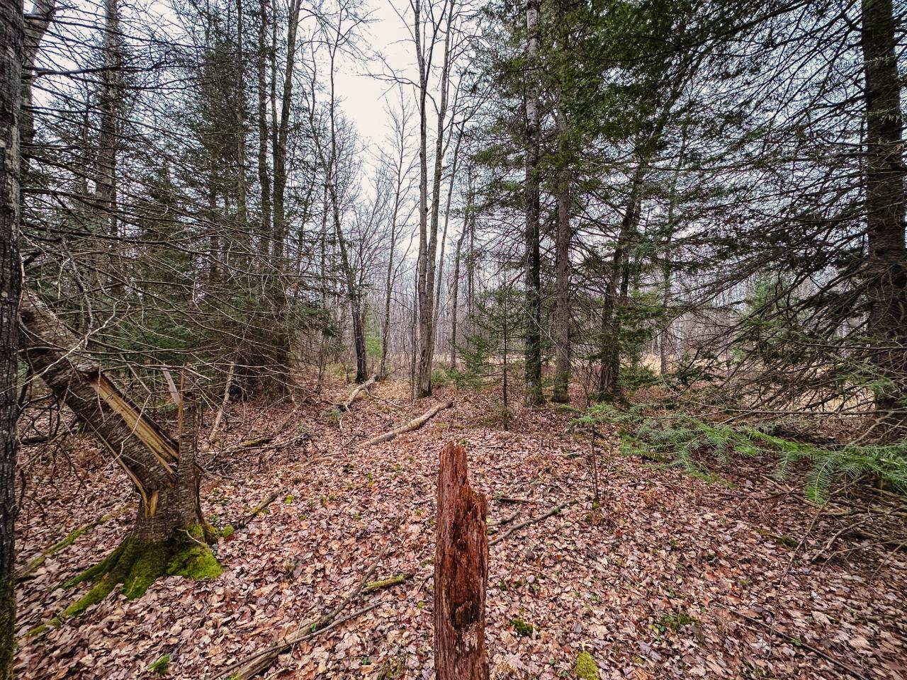On Loon Lake Road, Unit LOT 6 Eagle River, WI 54521 - Photo 7 of 22 Gallery Image 7