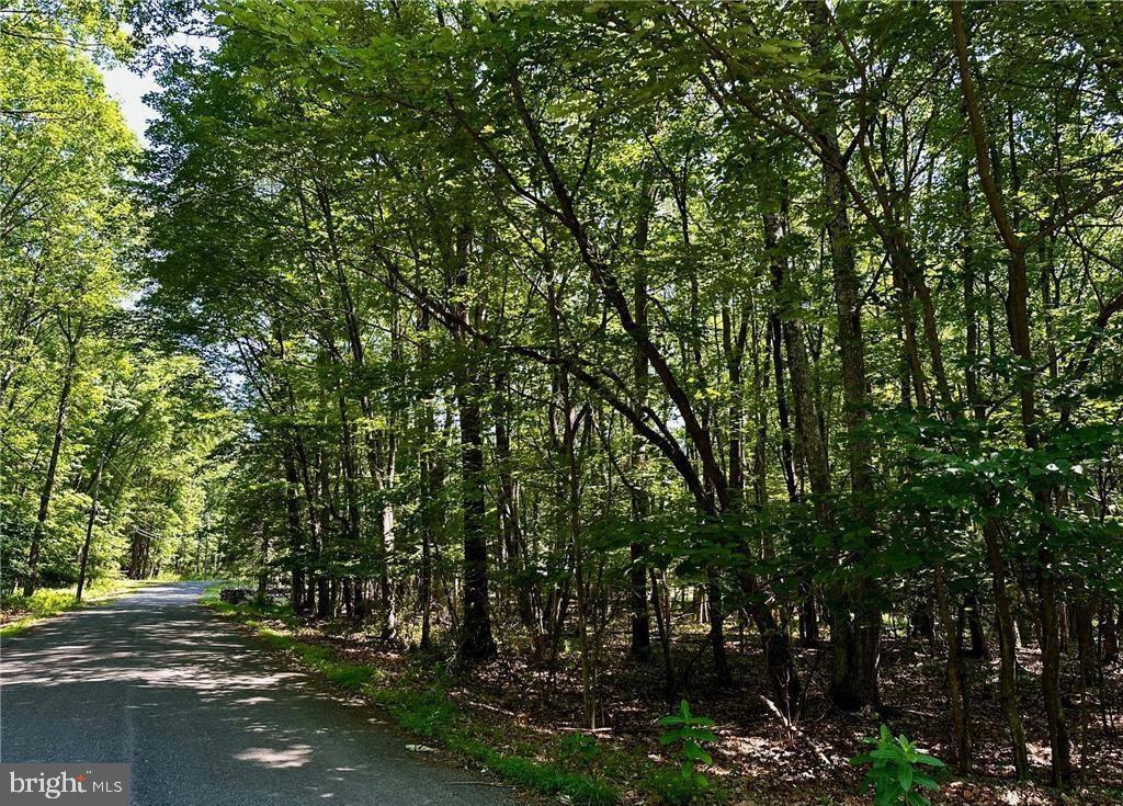 1.29-acre level, wooded CORNER lot!