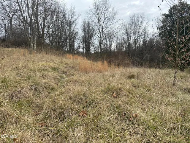 $75,000 | 21509 Clear Creek Road, Unit 21, Bristol, VA 24202