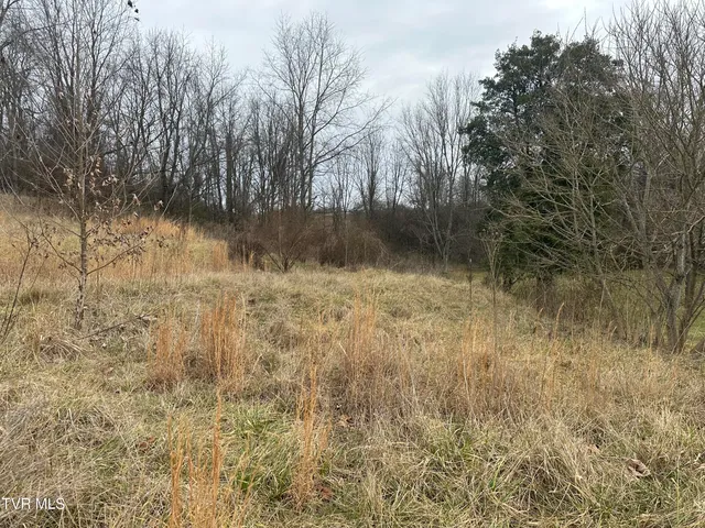 $75,000 | 21509 Clear Creek Road, Unit 21, Bristol, VA 24202