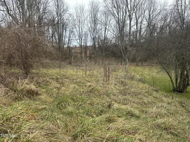 $75,000 | 21509 Clear Creek Road, Unit 21, Bristol, VA 24202