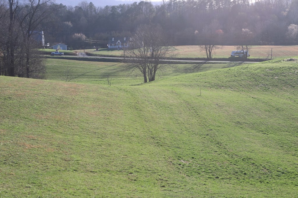 21 County Line Road Dandridge, TN 37725 - Photo 3 of 5