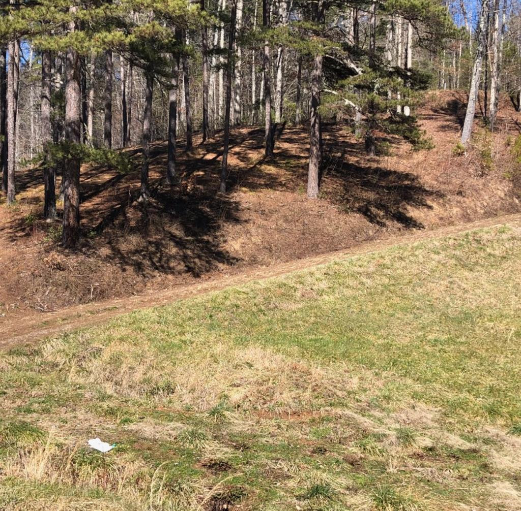 700 Grape Creek Road Murphy, NC 28906 - Photo 14 of 15 Driveway